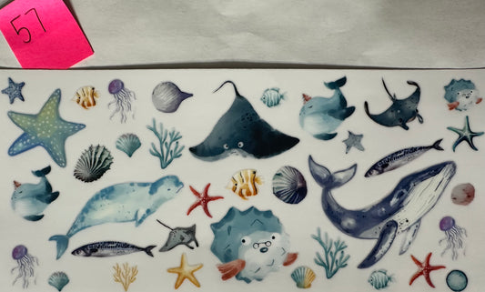Under the Sea wrap 1