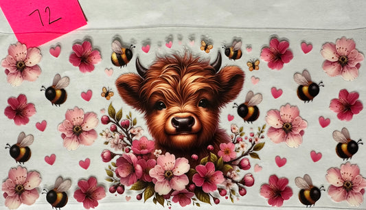 Highland cow with Bees