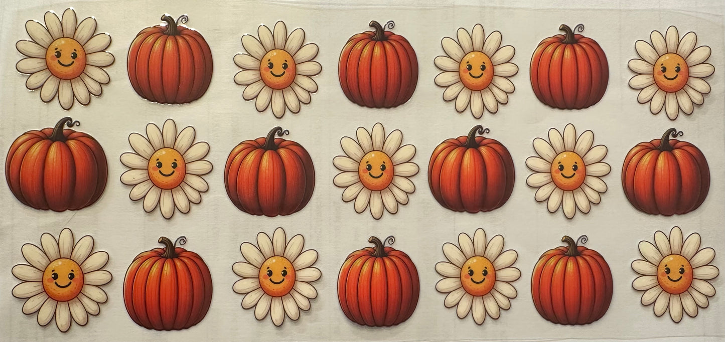 Pumpkins and Daisy's wrap