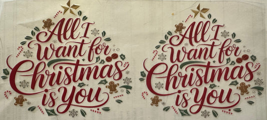 All I want for Christmas is you wrap