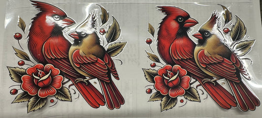 Cardinals wrap