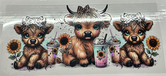 Highland cow with coffee wrap